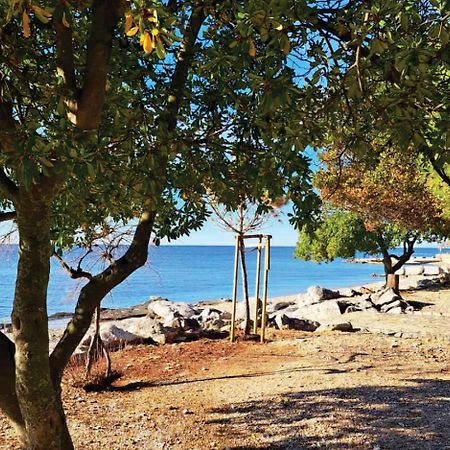 Apartment Istria زامبراتيجا المظهر الخارجي الصورة