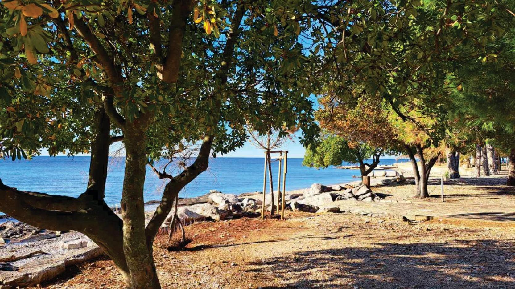 Apartment Istria زامبراتيجا المظهر الخارجي الصورة